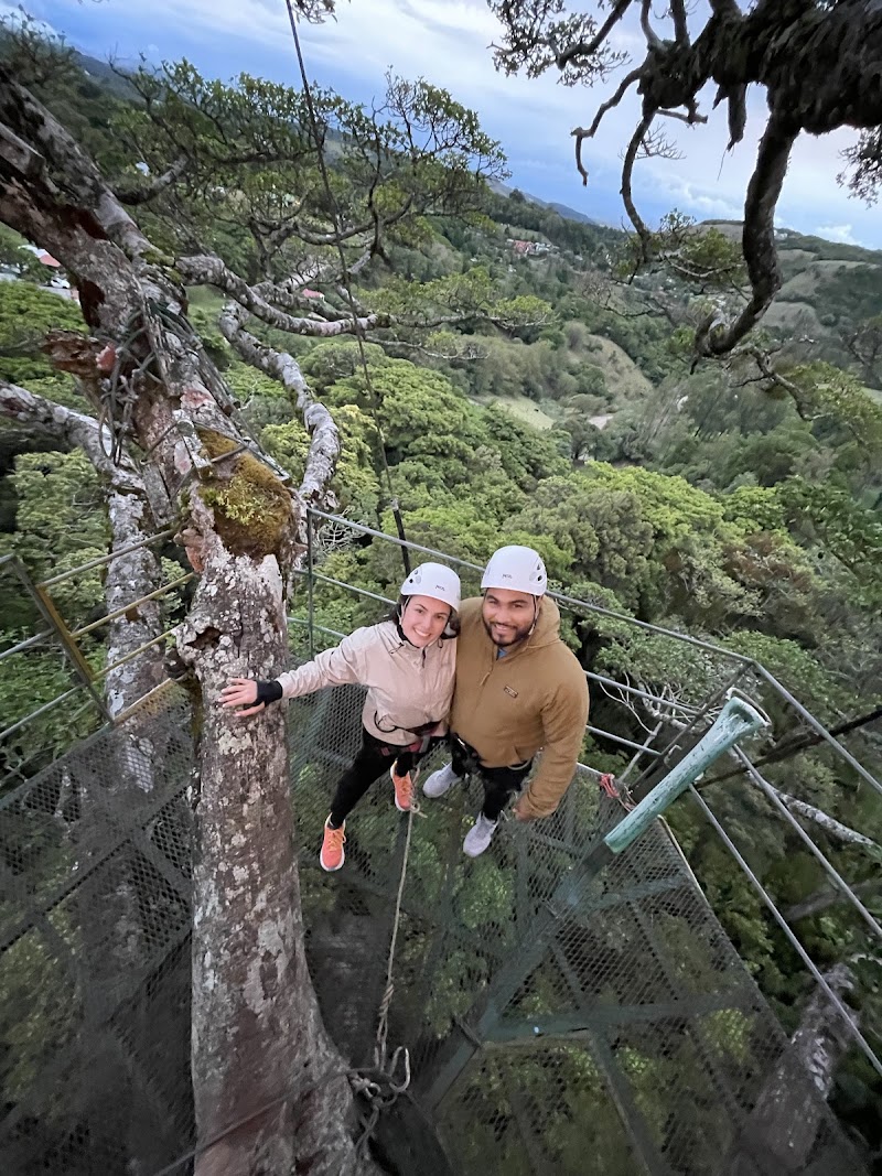 TreeTop Climbing Monteverde - TreeTop Climbing Monteverde, Puntarenas Province, Monteverde, 60109, Costa Rica