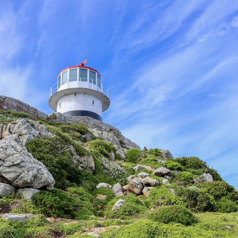 Cape Point Nature Reserve - Cape Point Nature Reserve, Cape Peninsula, Simon's Town, 7995, South Africa
