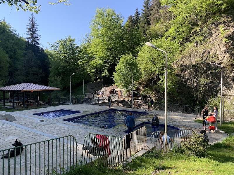 Borjomi Sulfur Pools - Borjomi Sulfur Pools, 9 ბარათაშვილის ქუჩა, Borjomi 1200, Georgia