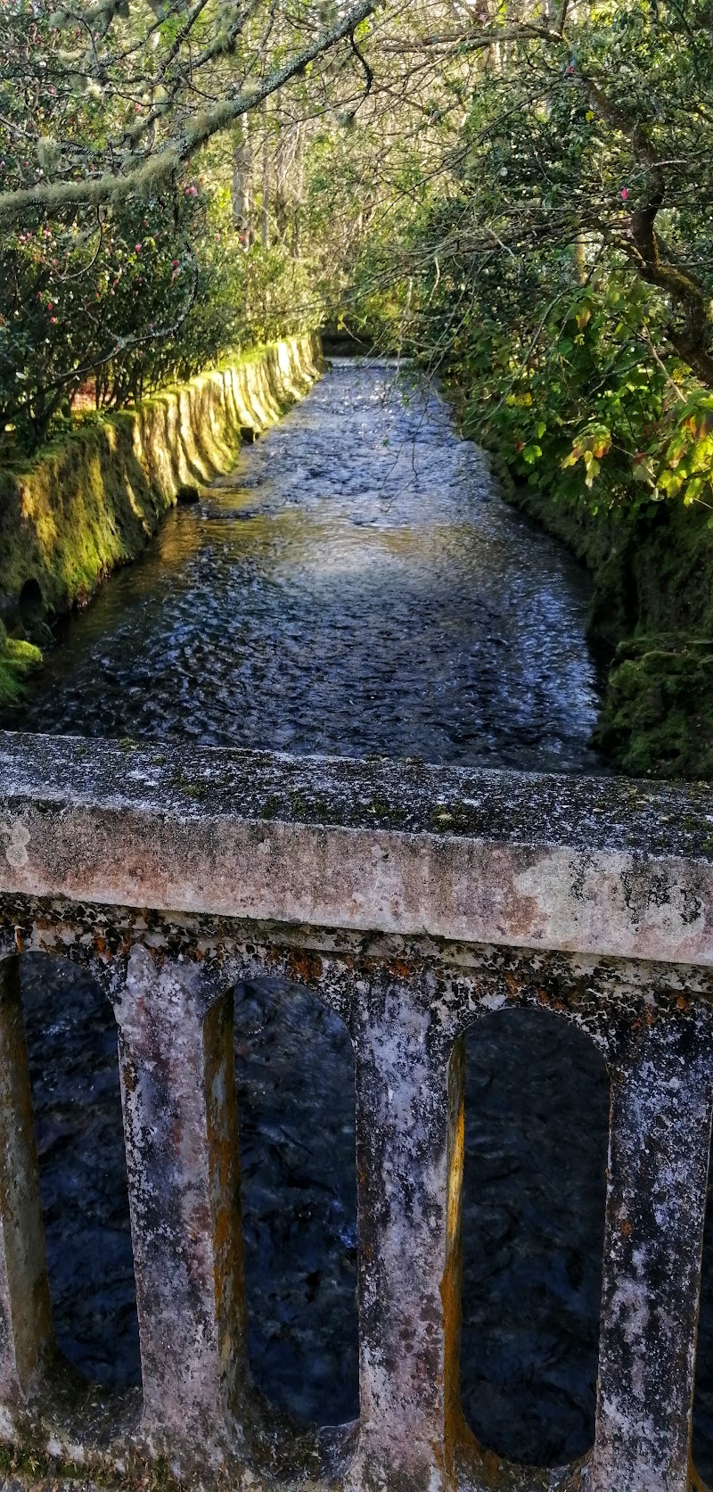 Furnas - Furnas, Portugal