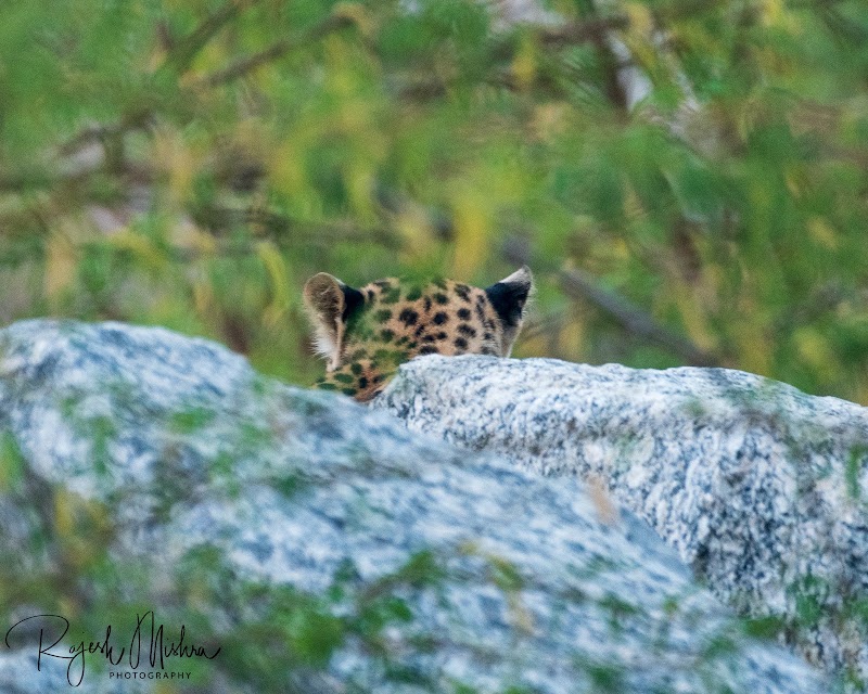 Bera - Bera, Rajasthan 306126, India