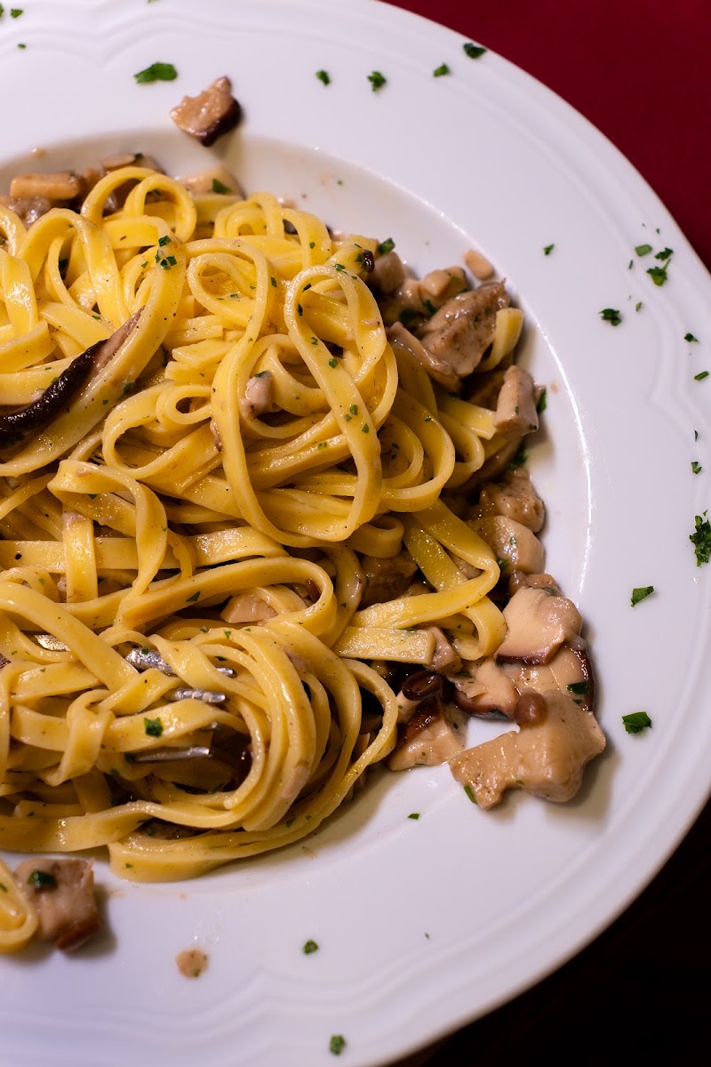 Trattoria Da Ginone 1949 - Trattoria Da Ginone 1949 Via dei Serragli, 35/R, 50124 Firenze FI, Italy