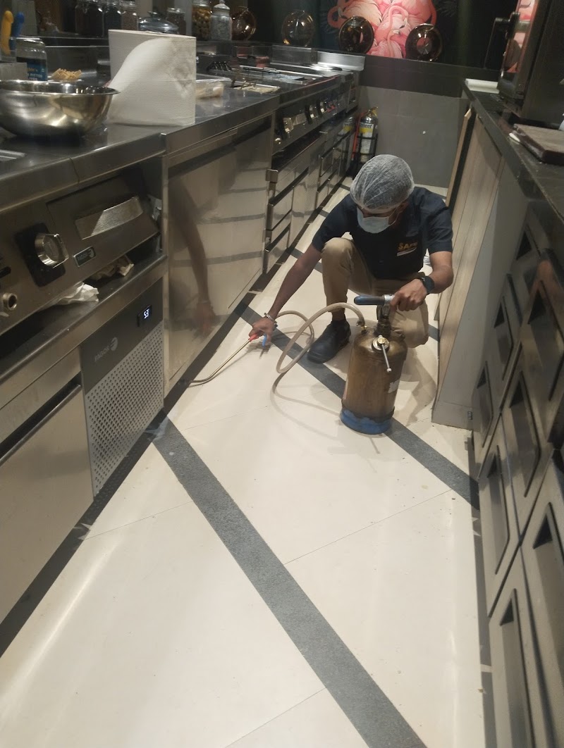 Safe Pest Control Services Pvt Ltd - Safe Pest Control Services Pvt Ltd, 53, MD Block, Ranoji Rao Road, S Cross Rd, Basavanagudi, Bengaluru, Karnataka 560004, India