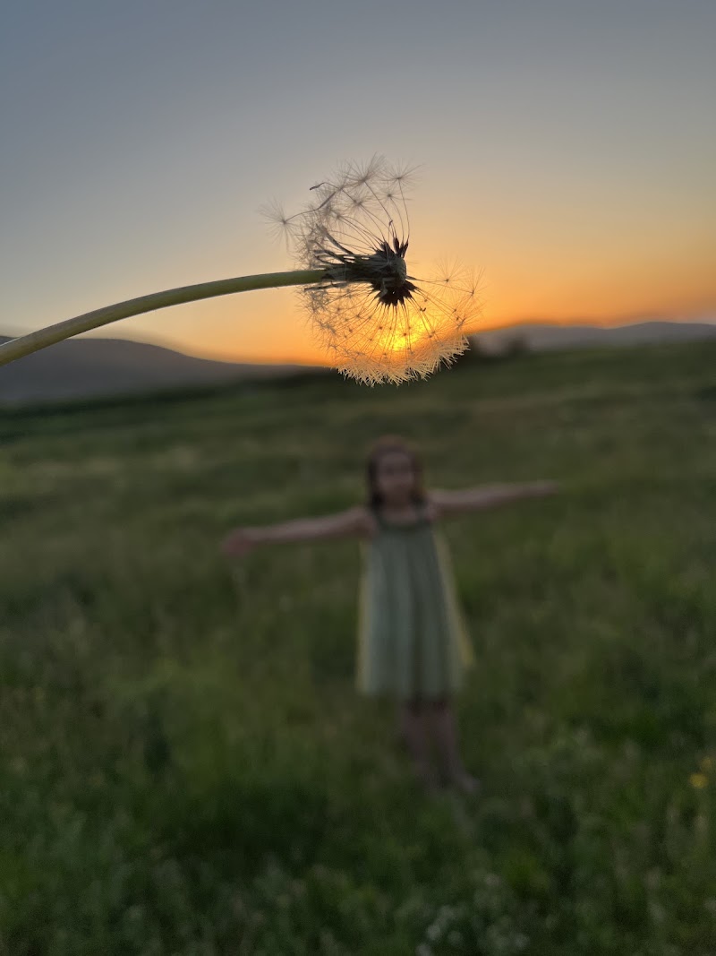روستای موییل - روستای موییل, Moeil, روستای موئیل، روستای موئیل، استان اردبیل،، 7PX7+52W،، Iran