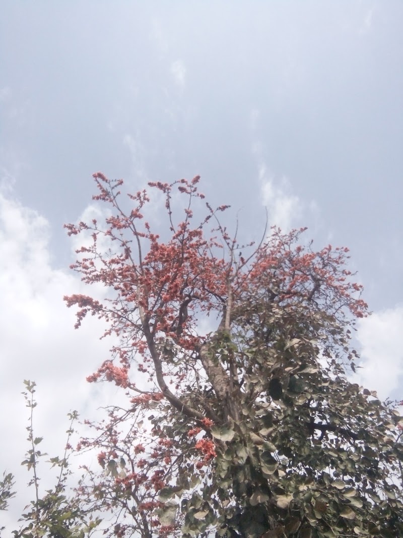 Tukaithad - Tukaithad, Madhya Pradesh 450332, India