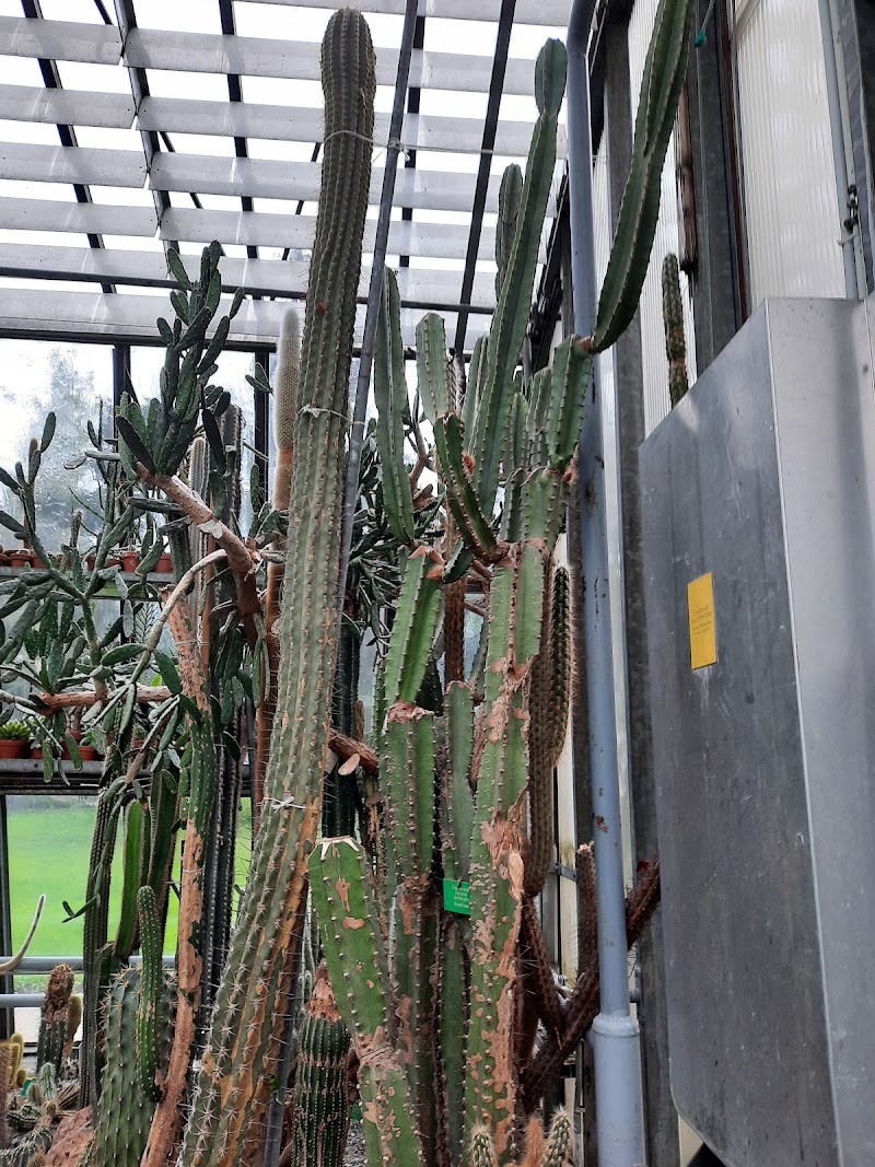 Palmenhaus im Hofgarten - Palmenhaus im Hofgarten Rennweg 12, 6020 Innsbruck, Austria