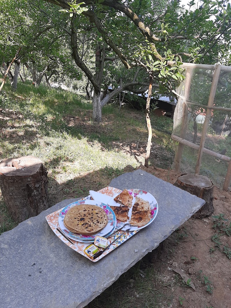 Pine Wood Homestay - Pine Wood Homestay 8F2J+WM7, Kotgarh Hospital Rd, Kotgarh, Himachal Pradesh 172031, India