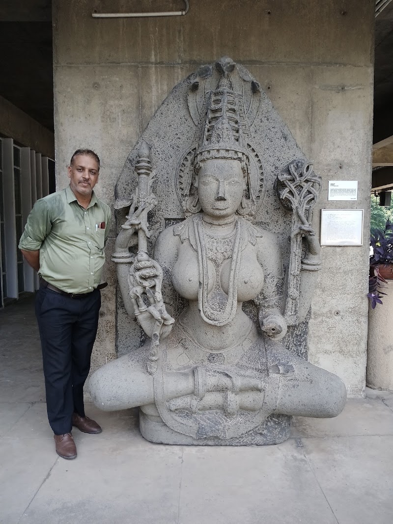 Government Museum and Art Gallery - Government Museum and Art Gallery Sector, 10C, Sector 10, Chandigarh, 160011, India