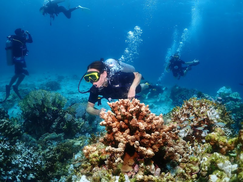 Phuket Dive Center - Phuket Dive Center เลขที่ 3 หมู่ 8 Thanon Chao Fah Tawan Tok, Tambon Chalong, Amphoe Mueang Phuket, Chang Wat Phuket 83130, Thailand