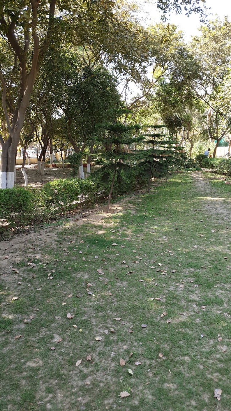 Sector 40 Park - Sector 40 Park C3X5+W2X, Market Rd, Urban Estate, Sector 40, Gurugram, Haryana 122003, India