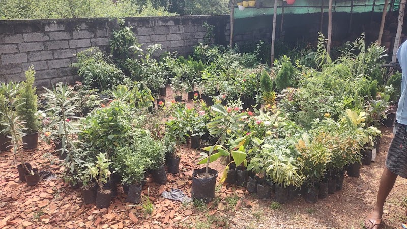 Maa Durga Nursery ( mitti ke gamle and mitti pots) - Maa Durga Nursery ( mitti ke gamle and mitti pots), 6HJX+76V, Agroha Colony, Changurabhata, Raipur, Chhattisgarh 492013, India
