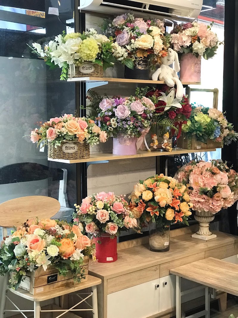 KosetFlowers ร้านดอกไม้ - KosetFlowers ร้านดอกไม้ 96/9 Praisanee Rd, Tambon Chang Moi, Amphoe Mueang Chiang Mai, Chang Wat Chiang Mai 50300, Thailand