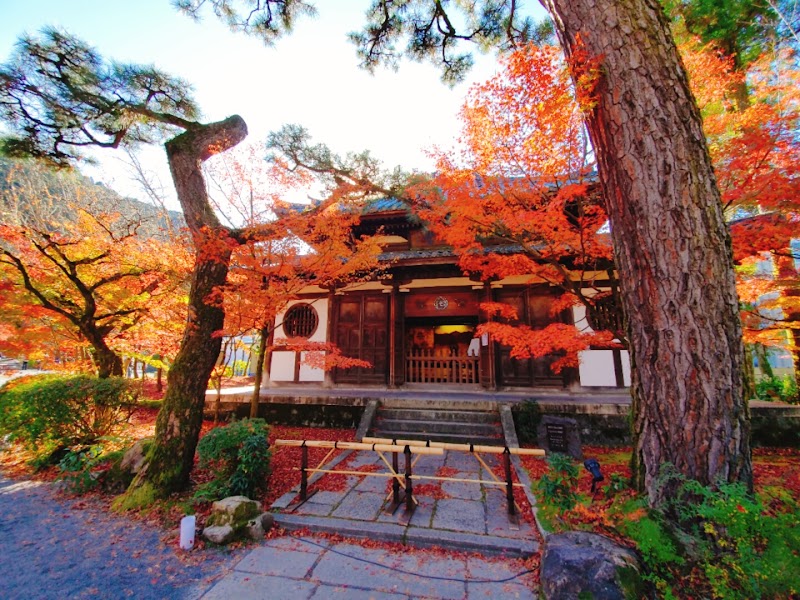 Eikandō Temple - Eikandō Temple, 48 Eikandōchō, Sakyo Ward, Kyoto, 606-8445, Japan