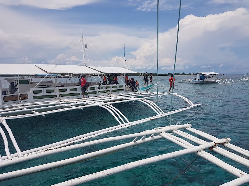 San Vicente Marine Sanctuary - San Vicente Marine Sanctuary, 62XF+C4Q, Lapu-Lapu, Philippines