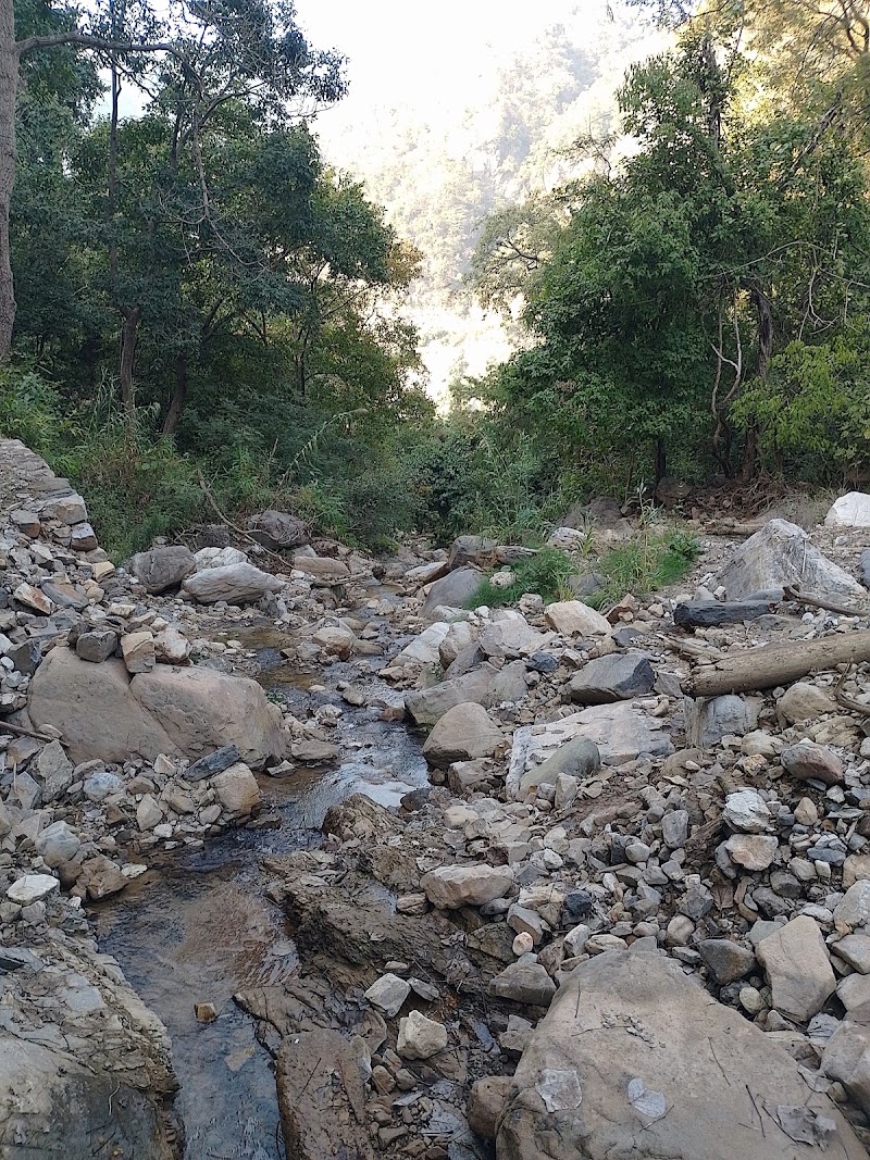 Tiny Farm Fort - Tiny Farm Fort, Dhunar Gaon, Neelkanth Road, near Phoolchatti Ashram, Gram, Kota, Rishikesh, Uttarakhand 249304, India