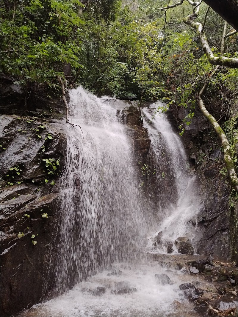 Charmadi Ghat, Dakshina Kannada - Charmadi Ghat, Dakshina Kannada, 3FH8+FP4, Charmady, Karnataka 574228, India