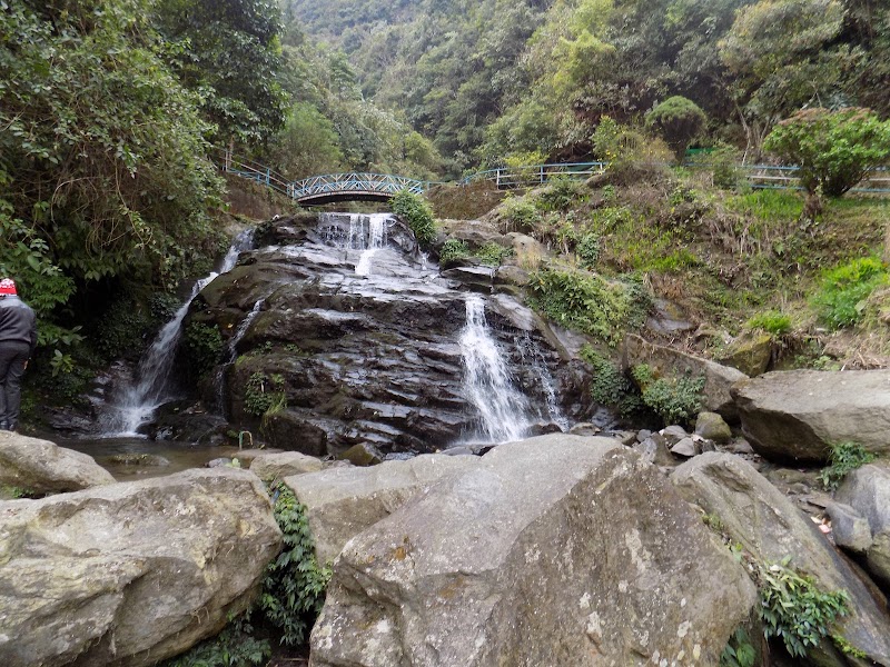 ZERO POINT - ZERO POINT, Rangli Rangliot, Rangli Ranglot Tea Garden, West Bengal 734226, India
