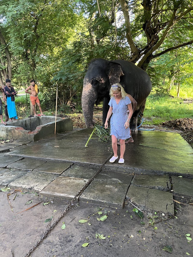 Ravana Ella Wildlife Sanctuary - Ravana Ella Wildlife Sanctuary, Wellawaya-Ella-Kumbalwela Hwy, Sri Lanka