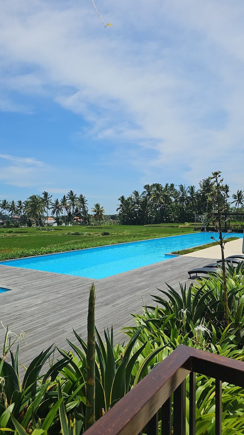 Big Dragon Villas Ubud - Big Dragon Villas Ubud, Jl. Banjar Tatiapi, Pejeng Kawan, Kec. Tampaksiring, Kabupaten Gianyar, Bali 80552, Indonesia