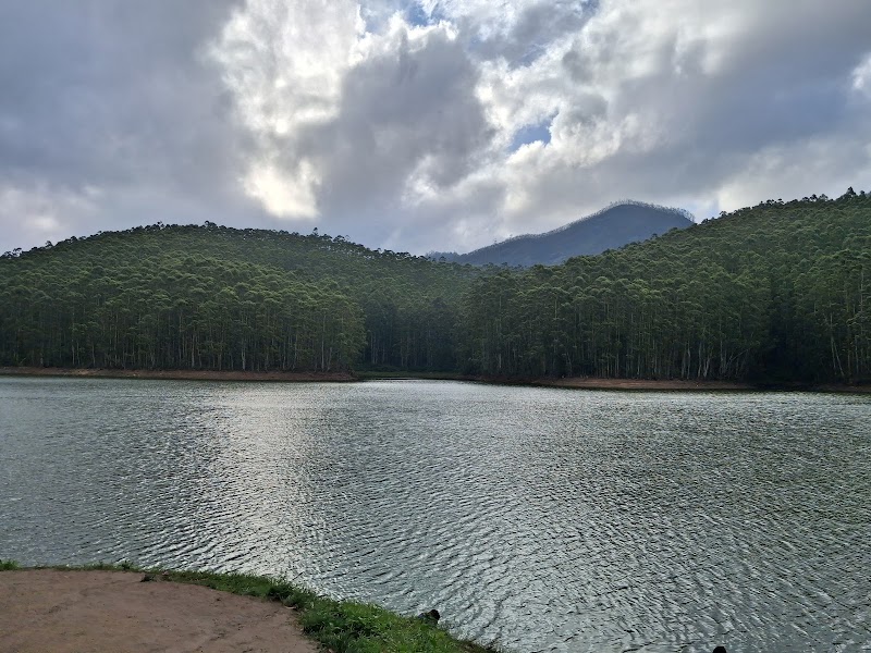 Tea plantation View point - Tea plantation View point 33F4+GQ, Kannan Devan Hills, Kerala 685612, India