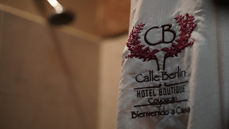 Casa Boutique Calle Berlin - Casa Boutique Calle Berlin, Berlín 84B, Centro de, Del Carmen, Coyoacán, 04100 Ciudad de México, CDMX, Mexico