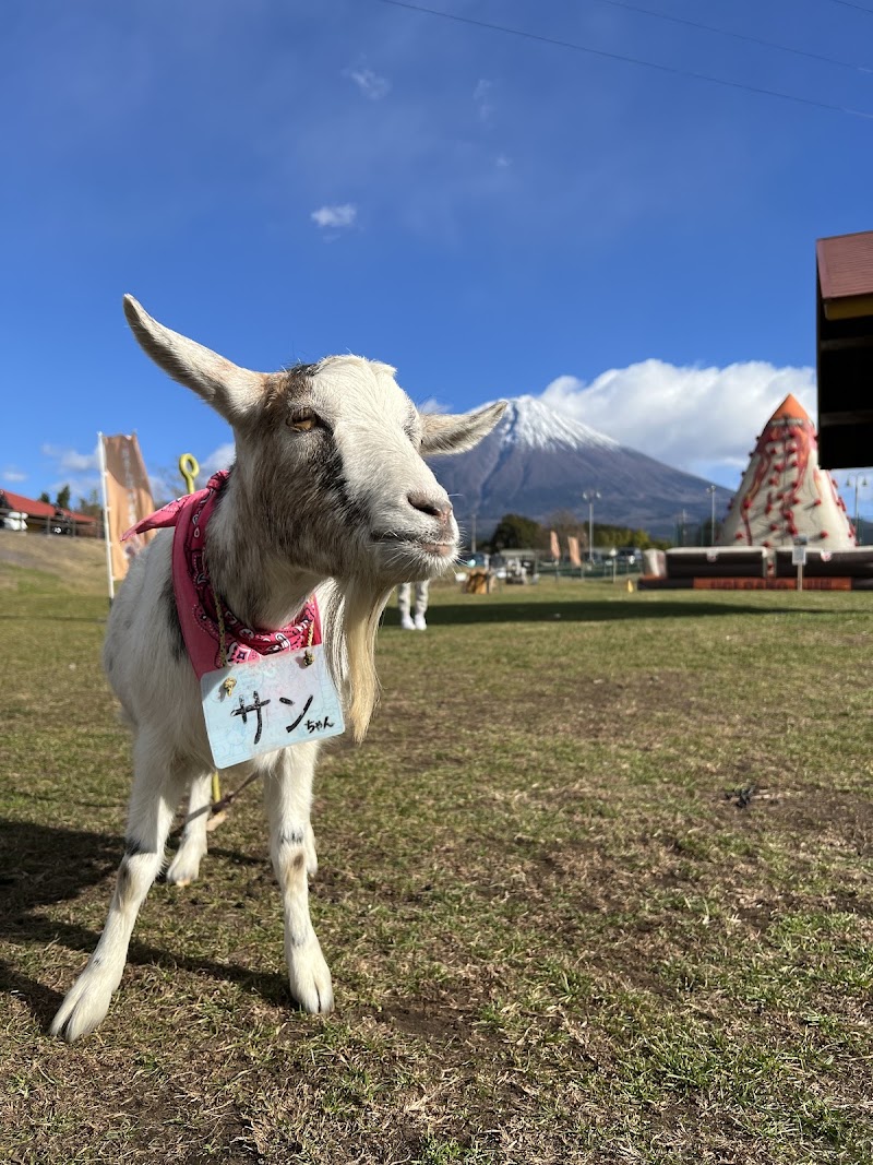 Fuji Milk Land - Fuji Milk Land 3690 Kamiide, Fujinomiya, Shizuoka 418-0103, Japan