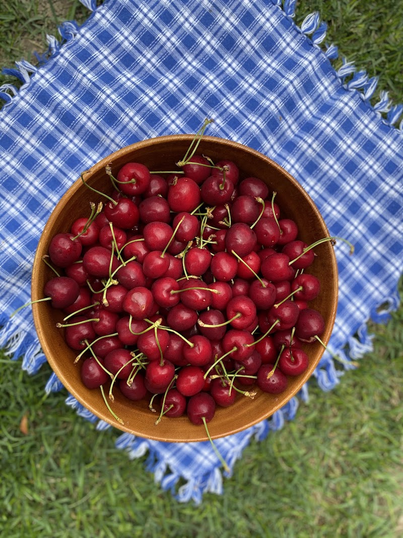 Big Bear Farms - Big Bear Farms, Johnsons Orchards, PO, 21, National Highway, opposite Raison Rafting Point, Raison, Himachal Pradesh 175128, India