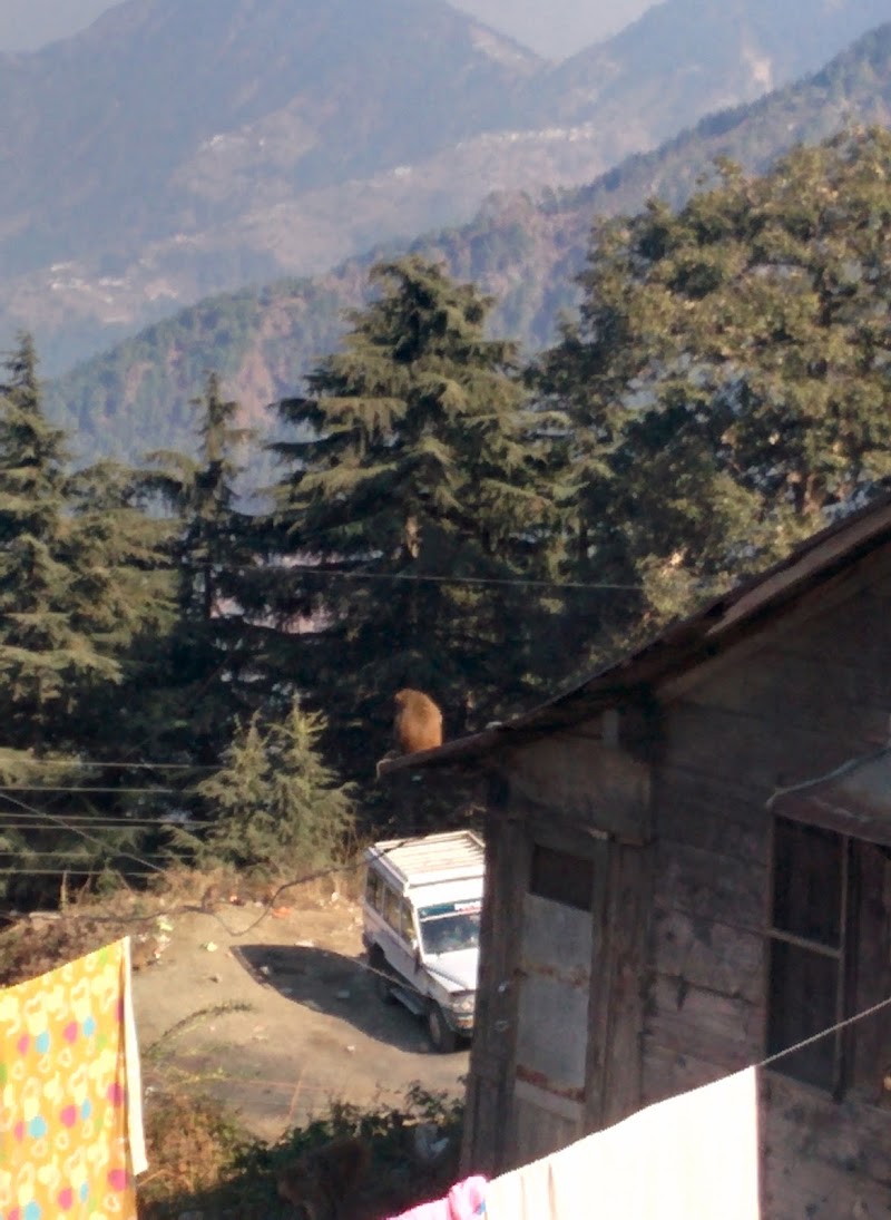 Dalhousie - Dalhousie, H8CX+5W5, Binoy Badal Dinesh Bag S, Lal Dighi, Lal Bazar, Kolkata, West Bengal 700001, India