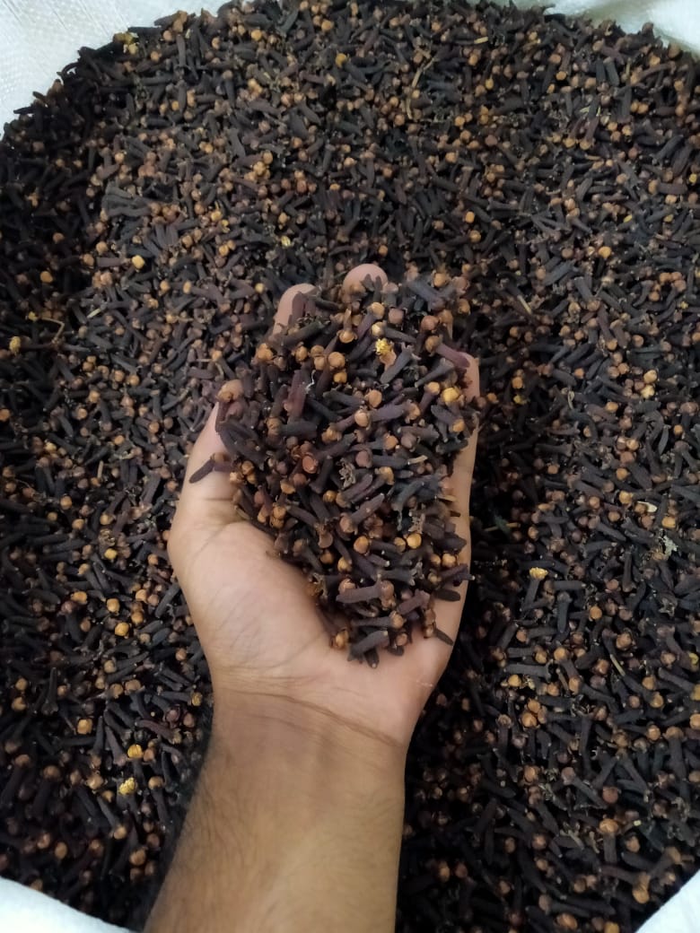 Wayanad Spices Gartens - Wayanad Spices Gartens Kaloor, Kalloor, Kerala 673592, India