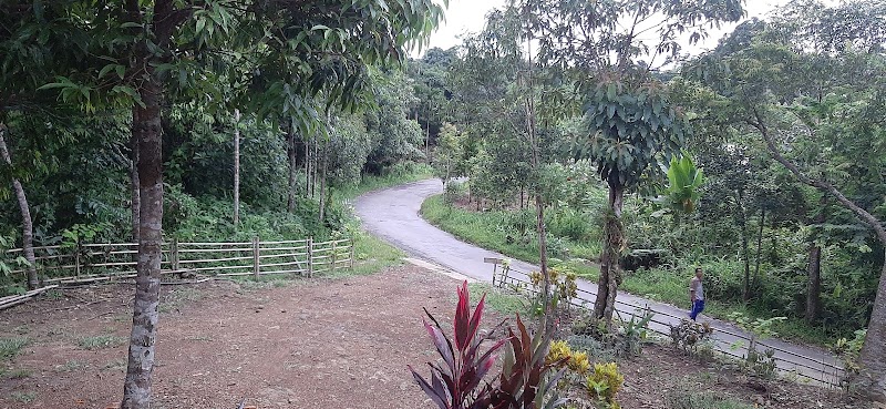 Verde Eco Tourist Lodge - Verde Eco Tourist Lodge Surok Mawlynnong, Mawlynnong, Meghalaya 793110, India