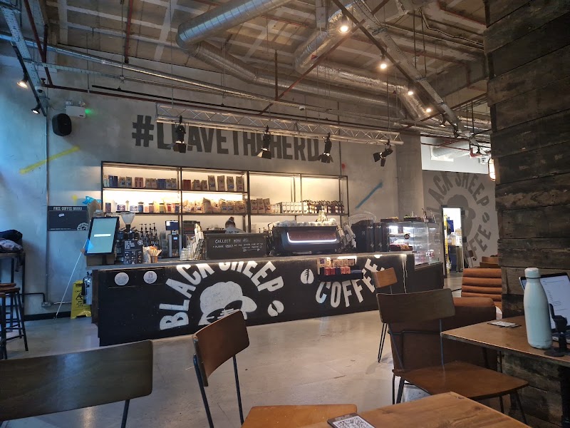 Black Sheep Coffee - Paddington - Black Sheep Coffee - Paddington Paddington Central, 2 Kingdom St, London W2 6BD, UK