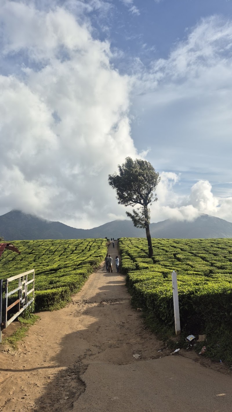 Door of Heaven - Door of Heaven 3469+R9, Kannan Devan Hills, Devikulam, Kerala 685613, India