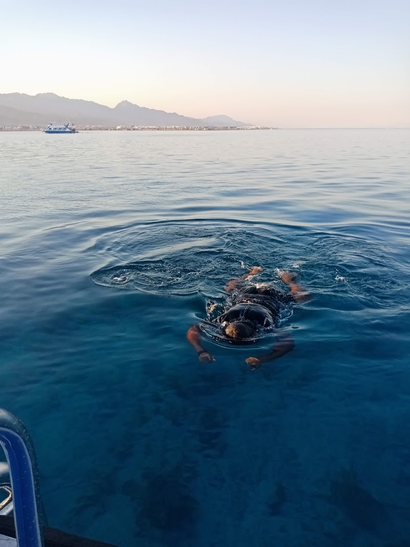 The Lagoon - The Lagoon, .، لاجونا، Dahab, South Sinai Governorate 8771501, Egypt