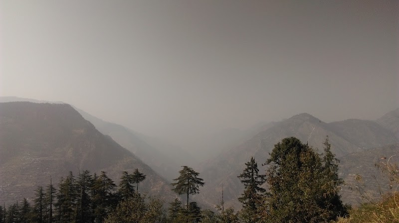 Himachali Essentials- Tirthan Valley - Himachali Essentials- Tirthan Valley Himachali Essentials, Near Fish Farm hamini, Sunshine Camp, Gushaini, Pekhri, Himachal Pradesh 175123, India