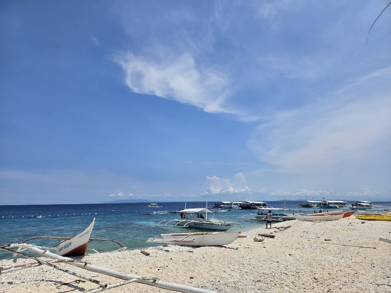 Balicasag Island Public Beach - Balicasag Island Public Beach, Panglao, Bohol, Philippines