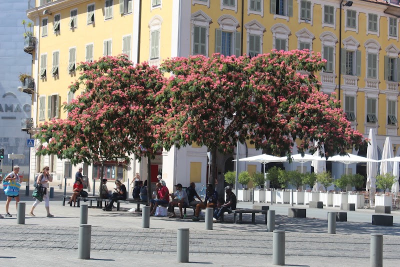 old nice - old nice, Nice, France