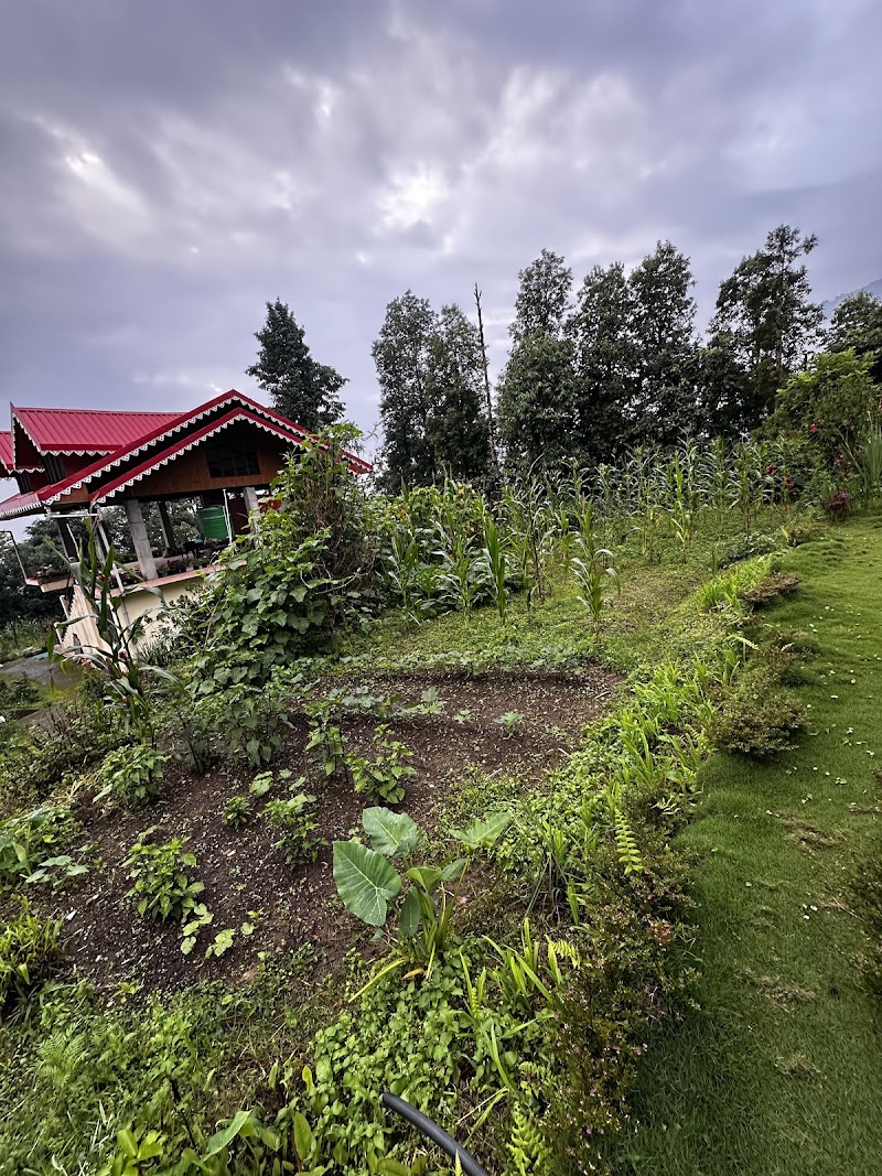 Aansham Kuitir Homestay - Aansham Kuitir Homestay Below Tea Garden, Temi, Sikkim 737134, India