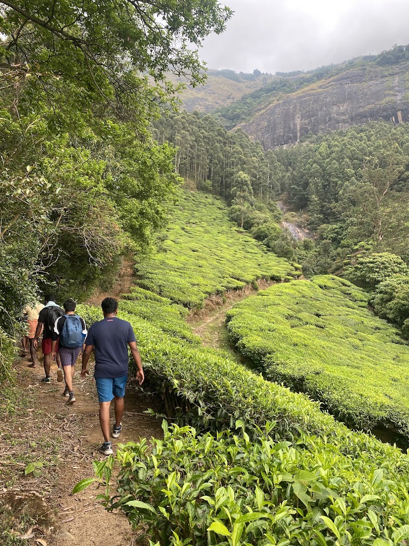 Suryanelly Camp - Suryanelly Camp, Suryanelli, Kerala 685618, India