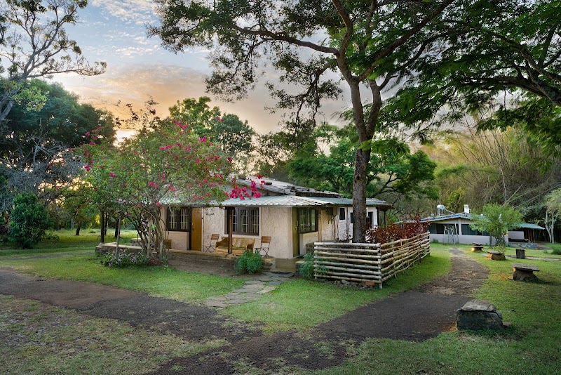 Jungle Hut - Jungle Hut Bokkapuram, Masinagudi, Sholur, Tamil Nadu 643223, India