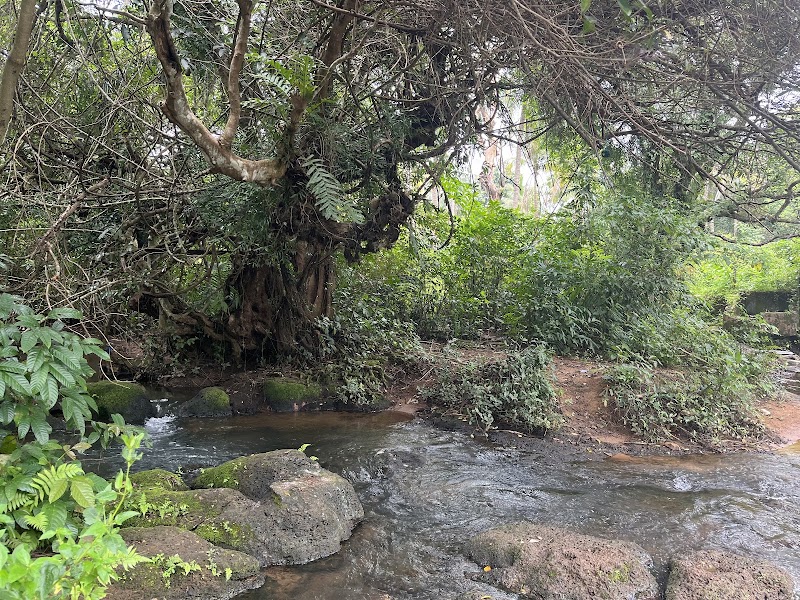 Zariwada Spring Cortali - Zariwada Spring Cortali 647V+QGF, Kotarli, Goa 403704, India