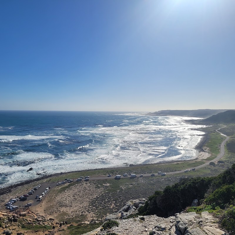 Cape of Good Hope - Cape of Good Hope, Cape Peninsula, Cape Town, South Africa