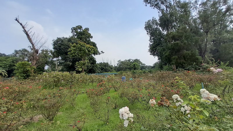 The Great Banyan Tree - The Great Banyan Tree B. Garden New Gate, Shibpur, Howrah, West Bengal 711103, India