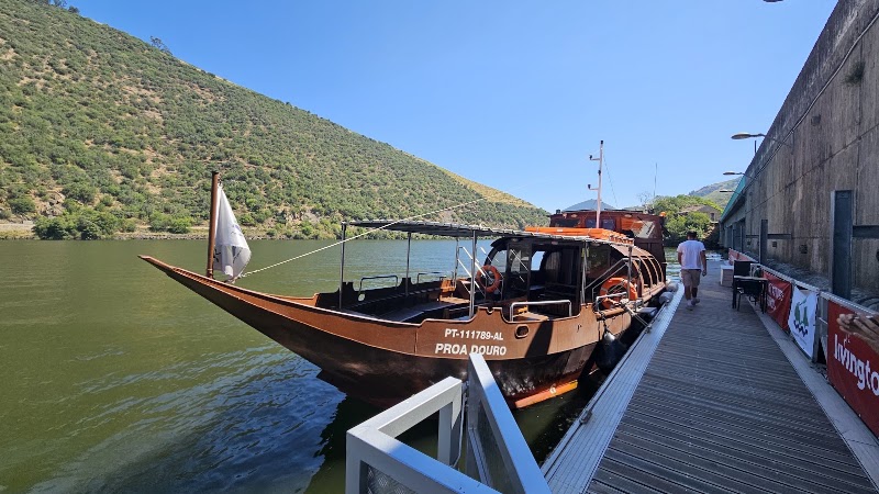 Living Tours - Living Tours, R. de Mouzinho da Silveira 352 354, 4050-418 Porto, Portugal