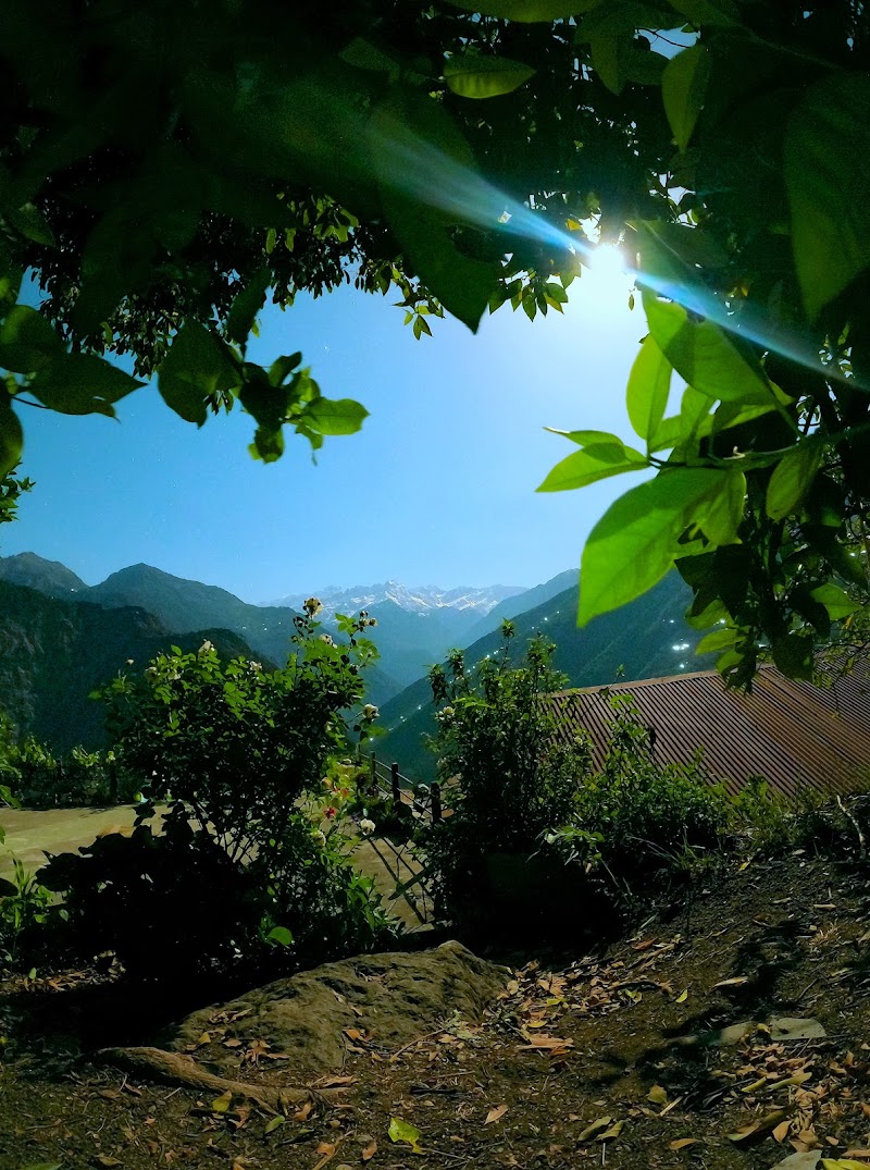 Him Darshan Homestay and resort. - Him Darshan Homestay and resort., Kanyalgaon, Khela, Suwa, Uttarakhand 262545, India