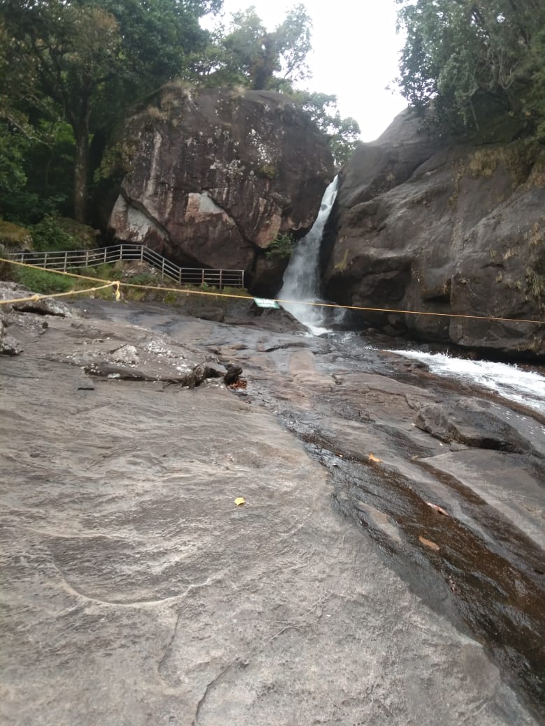 Wayanad Guide - Wayanad Guide, Meppadi, Natham Kuni, Kalpetta, Meppadi, Keralam 673577, India