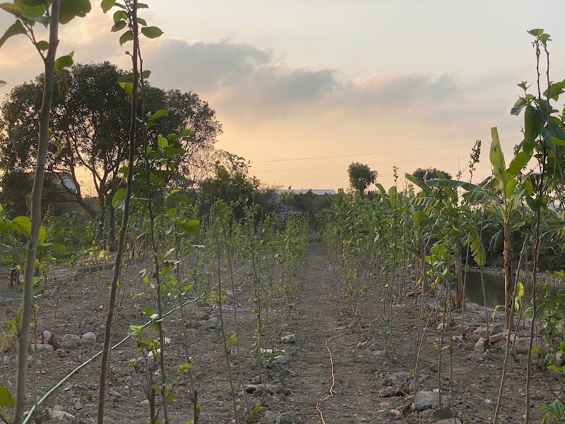 Silk Farm Bến Giá