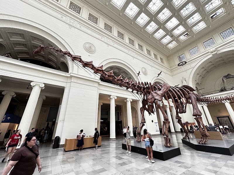 Field Museum - Field Museum, 1400 S Lake Shore Dr, Chicago, IL 60605, USA