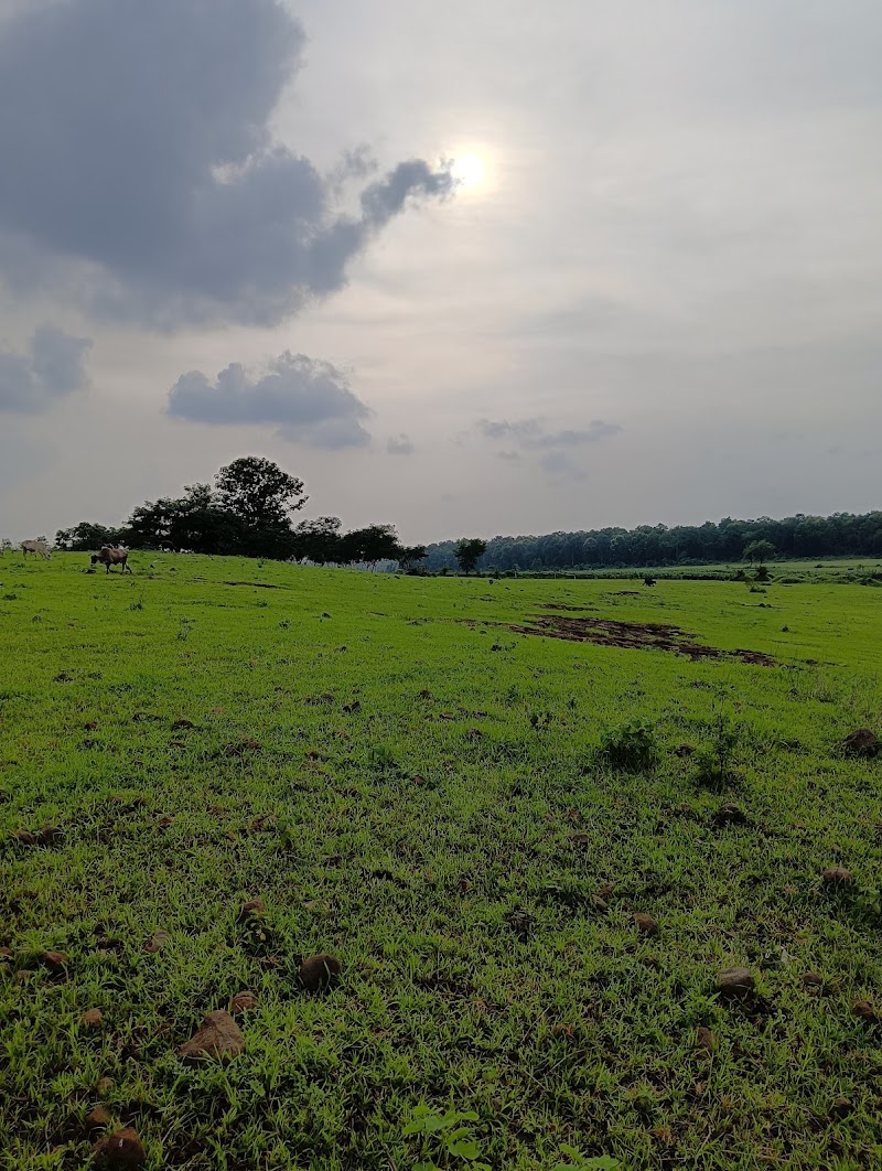 Shivhare Dhaba & Restaurant - Shivhare Dhaba & Restaurant, Banjari, Seoni, NH 44, Jabalpur, Madhya Pradesh 480888, India