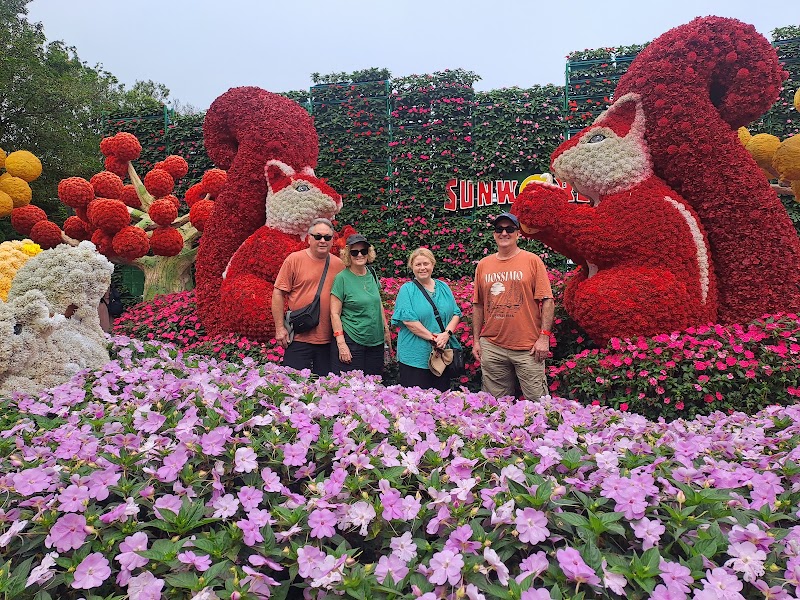 Hoi An Day Tours with Local Guide - Hoi An Day Tours with Local Guide, 3 Nguyễn Tri Phương, Hội An, Đà Nẵng 51000, Vietnam