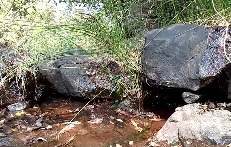 Bhatsa Vally - Bhatsa Vally, G9GH+582, Unnamed Road, Birwadi, Maharashtra 421603, India